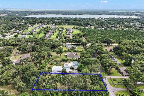 Land in Mount Dora, Florida № 1844393 - photo 7