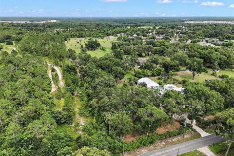 Land in Mount Dora, Florida № 1844393 - photo 13
