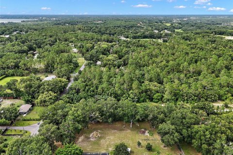 Land in Mount Dora, Florida № 1844393 - photo 11
