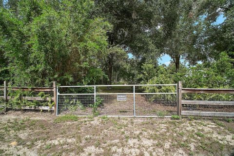 Land in Mount Dora, Florida № 1844393 - photo 4