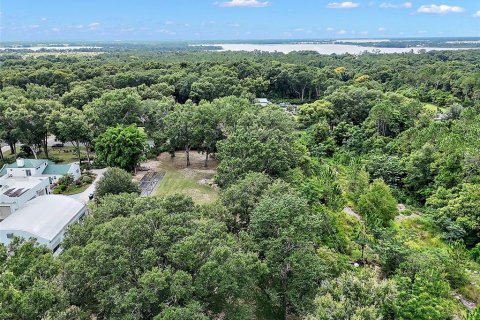 Land in Mount Dora, Florida № 1844393 - photo 12