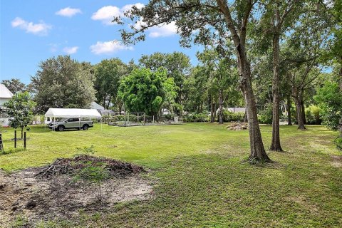 Land in Mount Dora, Florida № 1844393 - photo 5