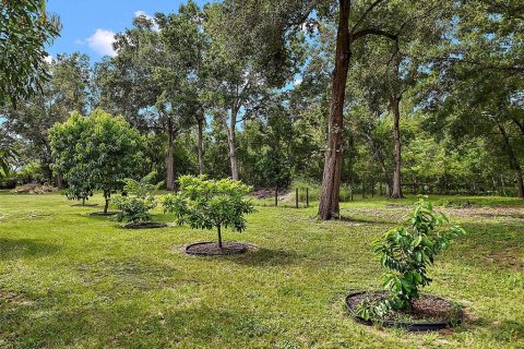 Land in Mount Dora, Florida № 1844393 - photo 2