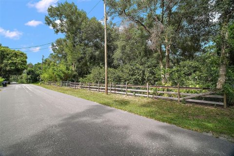Land in Mount Dora, Florida № 1844393 - photo 3