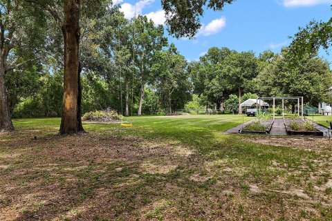 Land in Mount Dora, Florida № 1844393 - photo 1