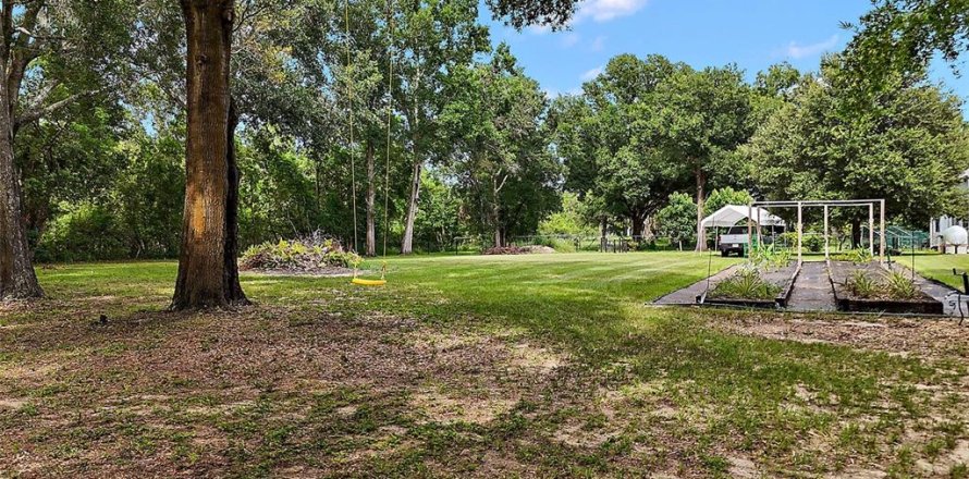 Land in Mount Dora, Florida № 1844393