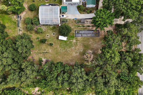 Land in Mount Dora, Florida № 1844393 - photo 14