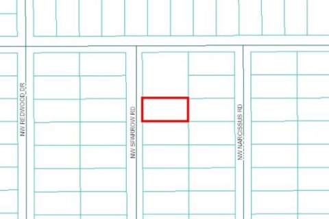 Land in Dunnellon, Florida № 2162610 - photo 2