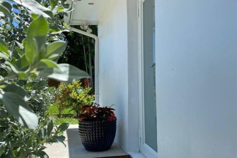 Снять в аренду коммерческую недвижимость в Майами, Флорида 46.45м2, № 1937249 - фото 10