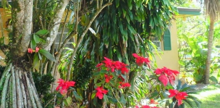 House in Southwest Ranches, Florida 3 bedrooms, 190.36 sq.m. № 698914