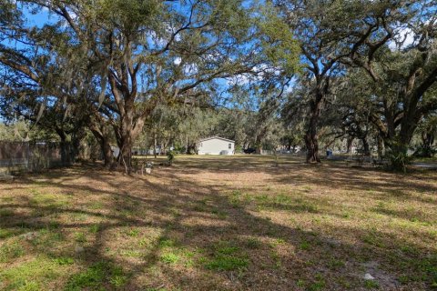 House in Plant City, Florida 4 bedrooms, 169.83 sq.m. № 1844943 - photo 16
