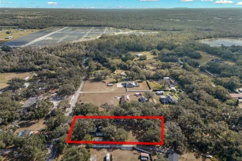 House in Plant City, Florida 4 bedrooms, 169.83 sq.m. № 1844943 - photo 9