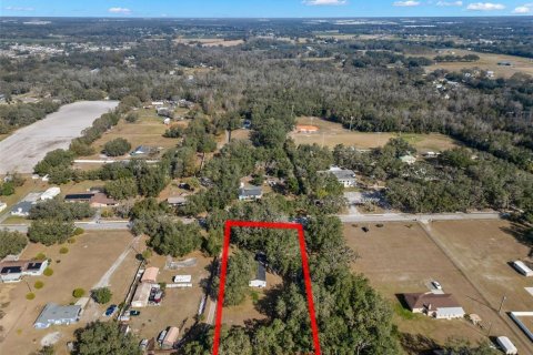 House in Plant City, Florida 4 bedrooms, 169.83 sq.m. № 1844943 - photo 7