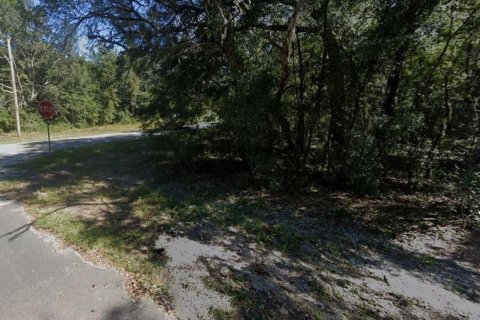 Terrain à vendre à Interlachen, Floride № 2223878 - photo 4