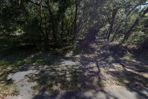 Terrain à vendre à Interlachen, Floride № 2223878 - photo 3