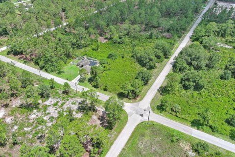 Land in Lehigh Acres, Florida № 2158132 - photo 17