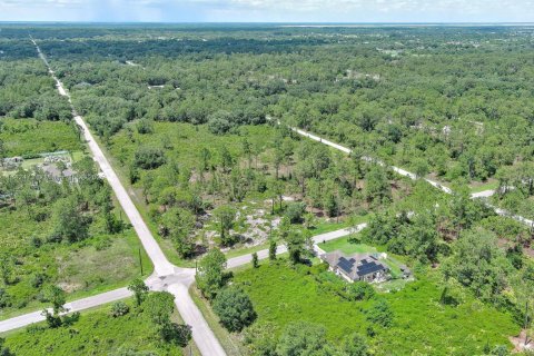 Land in Lehigh Acres, Florida № 2158132 - photo 22