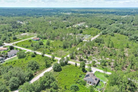 Land in Lehigh Acres, Florida № 2158132 - photo 25