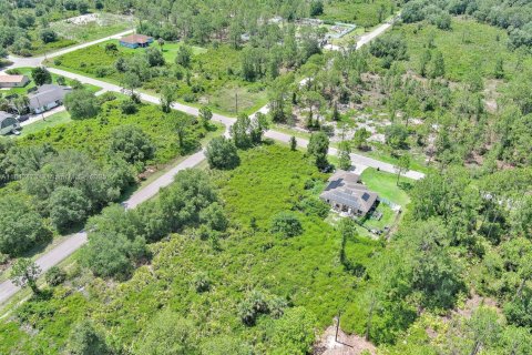 Land in Lehigh Acres, Florida № 2158132 - photo 26