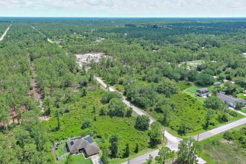 Land in Lehigh Acres, Florida № 2158132 - photo 12