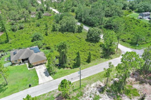 Land in Lehigh Acres, Florida № 2158132 - photo 11