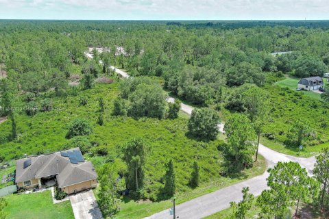 Land in Lehigh Acres, Florida № 2158132 - photo 10