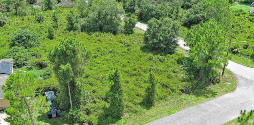 Land in Lehigh Acres, Florida № 2158132