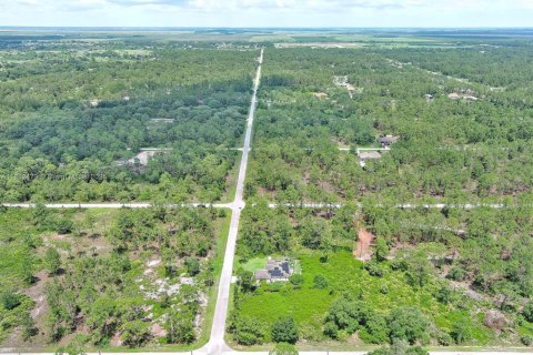 Land in Lehigh Acres, Florida № 2158132 - photo 19