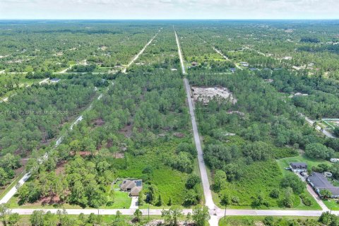 Land in Lehigh Acres, Florida № 2158132 - photo 18