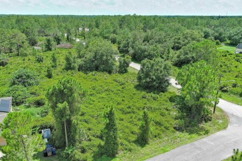 Land in Lehigh Acres, Florida № 2158132 - photo 3
