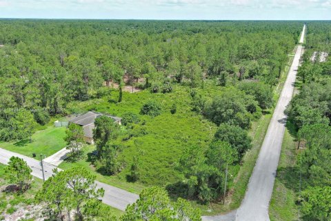 Land in Lehigh Acres, Florida № 2158132 - photo 6