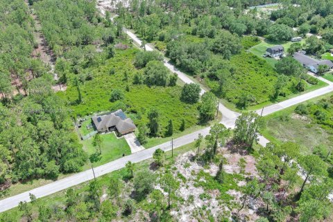 Land in Lehigh Acres, Florida № 2158132 - photo 13