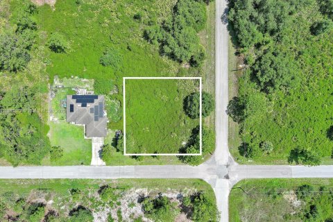 Land in Lehigh Acres, Florida № 2158132 - photo 2