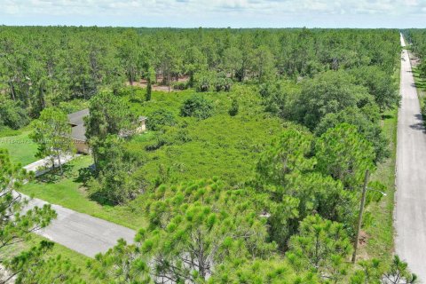 Land in Lehigh Acres, Florida № 2158132 - photo 4