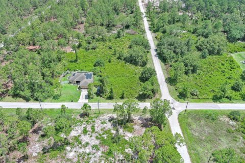 Land in Lehigh Acres, Florida № 2158132 - photo 14
