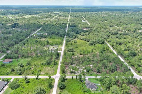 Land in Lehigh Acres, Florida № 2158132 - photo 20