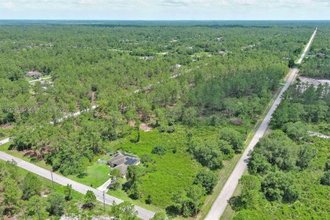Land in Lehigh Acres, Florida № 2158132 - photo 16