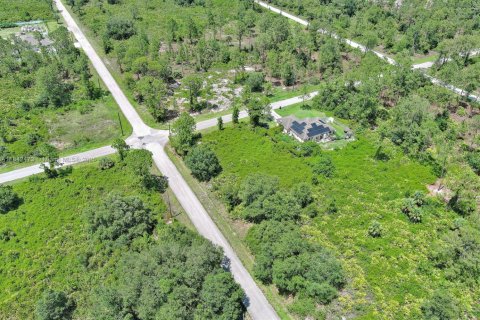 Land in Lehigh Acres, Florida № 2158132 - photo 23