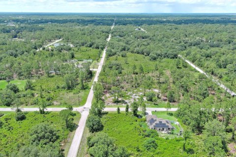 Land in Lehigh Acres, Florida № 2158132 - photo 24
