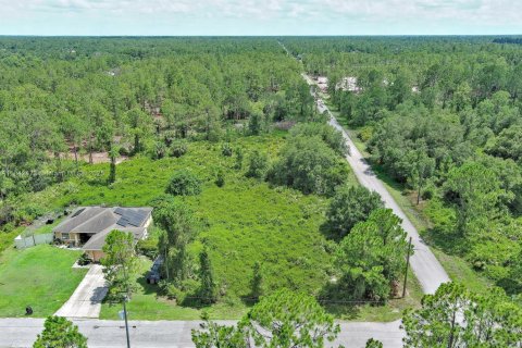 Land in Lehigh Acres, Florida № 2158132 - photo 9