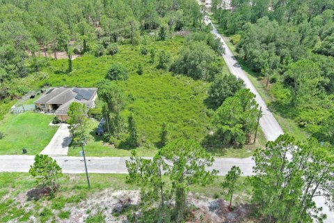 Land in Lehigh Acres, Florida № 2158132 - photo 8