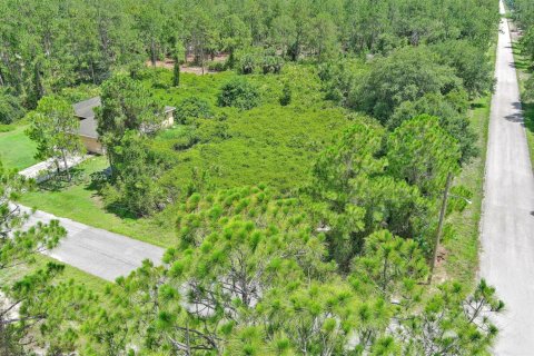 Land in Lehigh Acres, Florida № 2158132 - photo 5