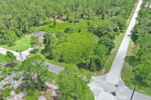 Land in Lehigh Acres, Florida № 2158132 - photo 7
