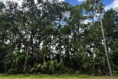 Land in Fort MC Coy, Florida № 2287714