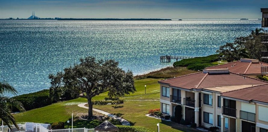 Condo in Saint Petersburg, Florida, 2 bedrooms  № 2236659
