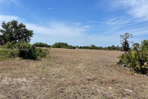 Terreno en Cape Coral, Florida № 2088851