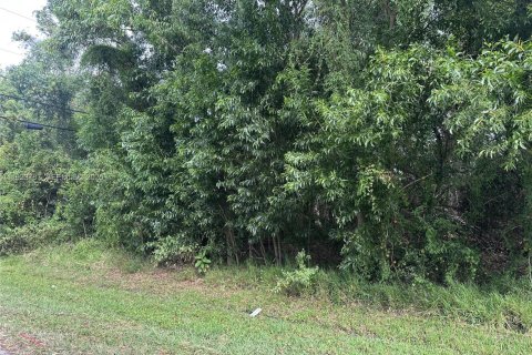 Land in Port St. Lucie, Florida № 1986862 - photo 6