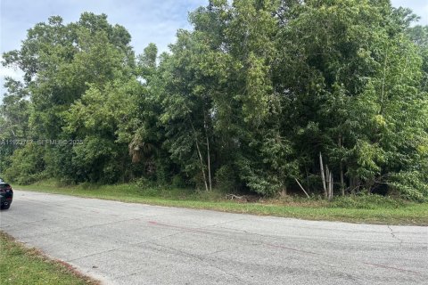 Land in Port St. Lucie, Florida № 1986862 - photo 3