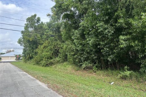 Land in Port St. Lucie, Florida № 1986862 - photo 5