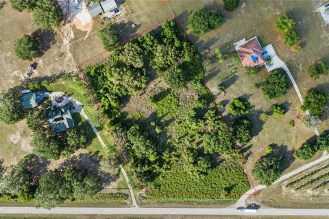Terreno en venta en Clermont, Florida № 1636317 - foto 6